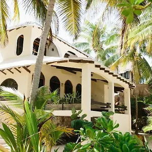  Bed & Breakfast Olas